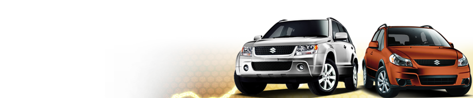 Suzuki SX4 and Grand Vitara Solution